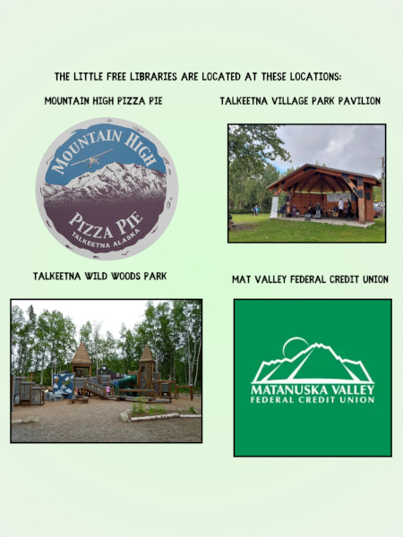 Little libraries poster
