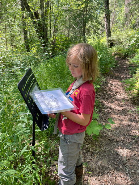 reading_trail2